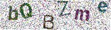 Beeld-CAPTCHA