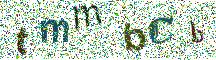 Beeld-CAPTCHA