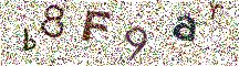 Beeld-CAPTCHA