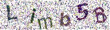 Beeld-CAPTCHA