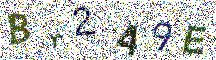 Beeld-CAPTCHA