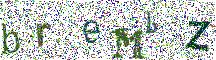 Beeld-CAPTCHA