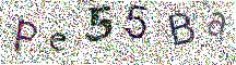 Beeld-CAPTCHA