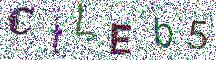 Beeld-CAPTCHA