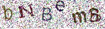 Beeld-CAPTCHA