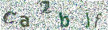 Beeld-CAPTCHA