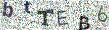 Beeld-CAPTCHA