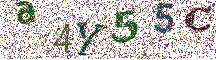 Beeld-CAPTCHA