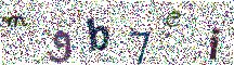 Beeld-CAPTCHA