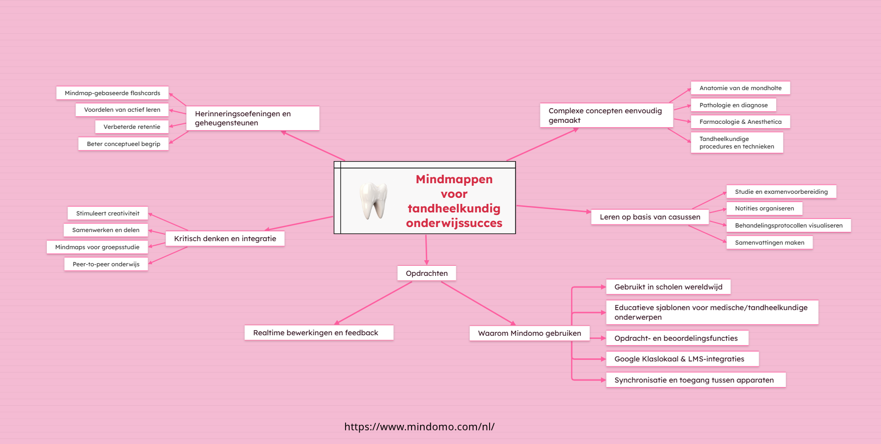 Image for Leren in transformatie: hoe Mind Mapping de tandheelkundige opleiding verandert