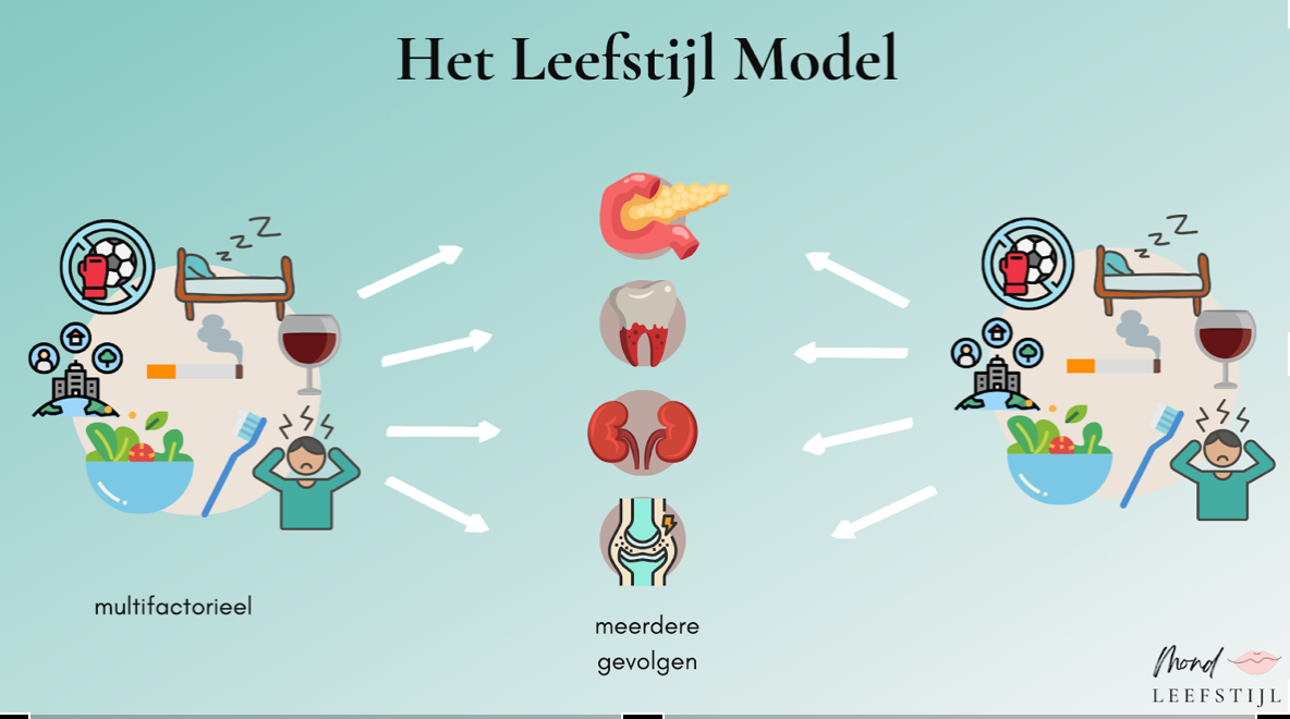 leefstijl module Yvon/louise